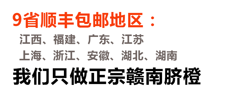 脐橙